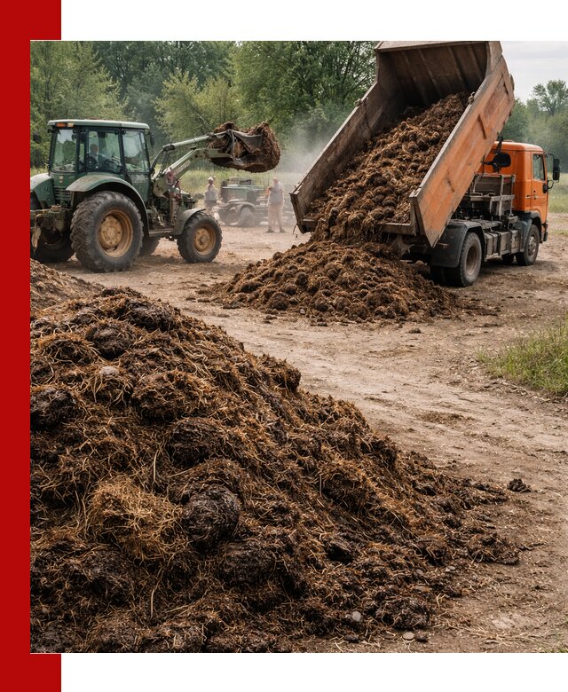 Доставка навоза самосвалами в Рубцовске для сельхозпотребностей
